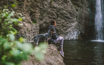 Randonnée avec votre chien