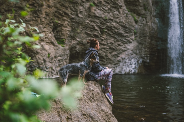 Randonnée avec votre chien