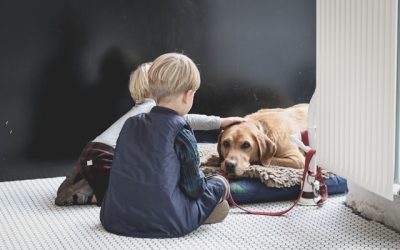 Chiens adaptées aux enfants